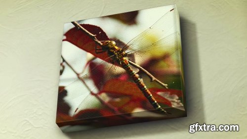 Videohive Canvas Wrap Photo Gallery 10827081