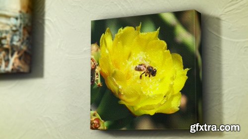 Videohive Canvas Wrap Photo Gallery 10827081