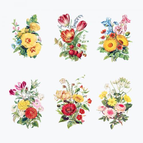 Vintage flowers bouquet collection vector - 2108858