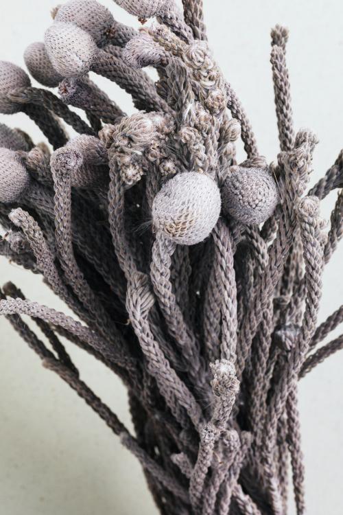 Bouquet of dried silver brunia bundle - 2282110