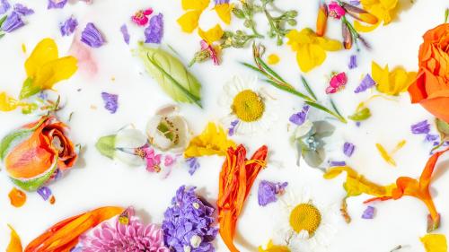 Colorful summer flowers in a milk bath background - 2293682