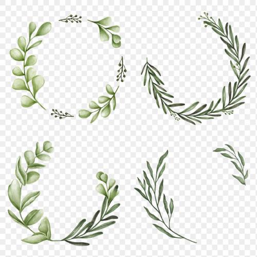 Floral wreath set transparent png - 2032842