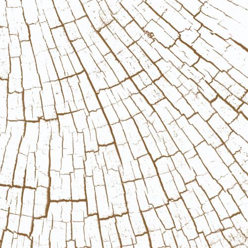 Bleached tree rings textured design background vector - 2253071