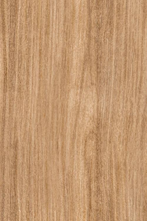 Oak wood textured background vector - 2253121