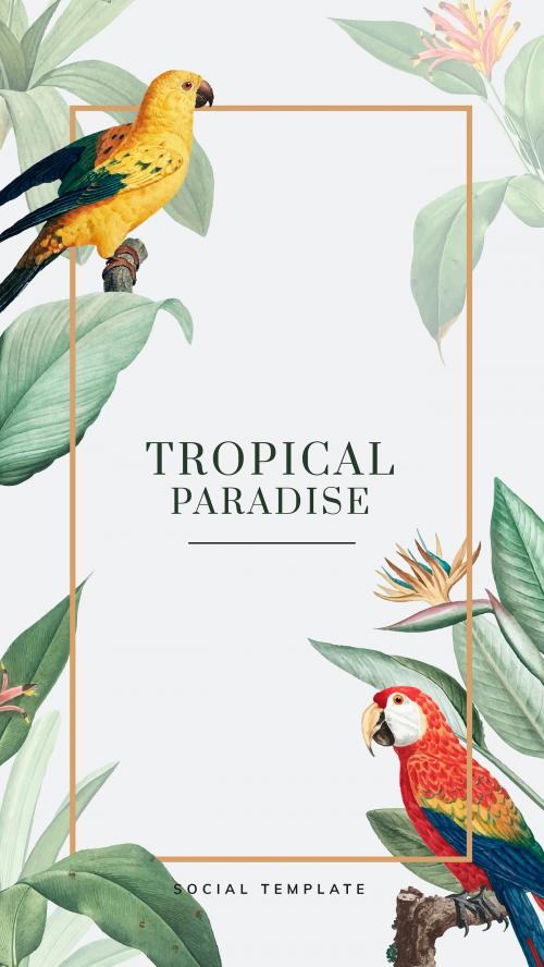 Tropical social story template vector - 2009605