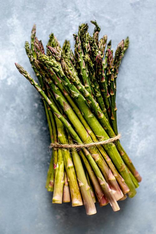 Asparagus tied in a bundle - 2225891