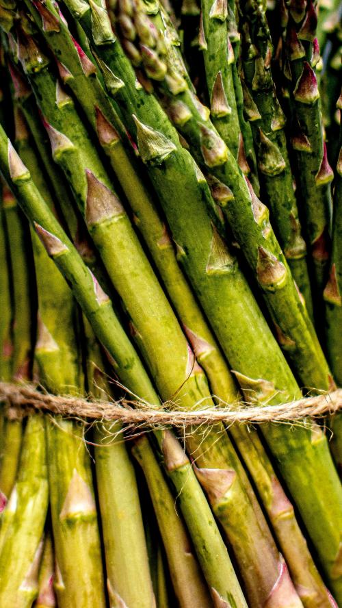 Asparagus tied in a bundle mobile wallpaper - 2225904