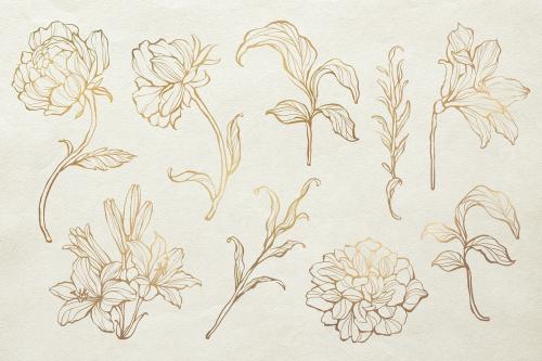 Gold floral outline set vector - 2019735