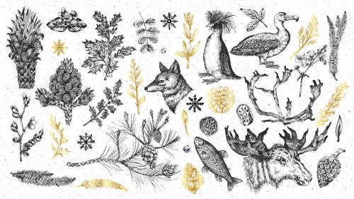 Animal drawing wallpaper collection vector - 2028548