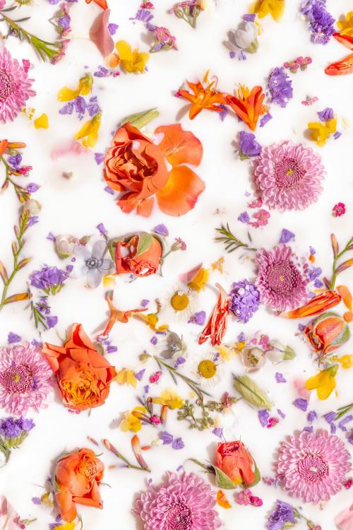 Colorful summer flowers in a milk bath background - 2271473