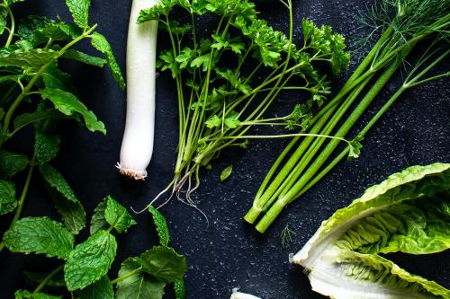 Mixed green fresh organic herbs and salads flatlay - 2281589