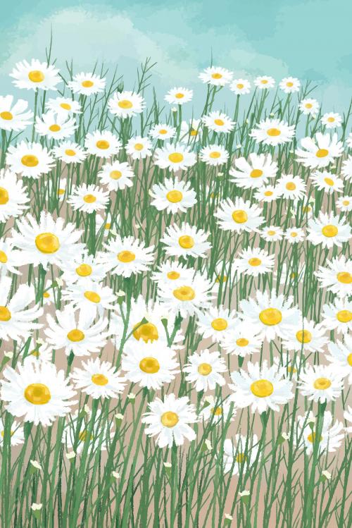 Blooming white daisy flower background vector - 2043902