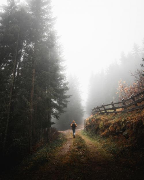 Man walking in the misty woods in the Dolomites - 2047699