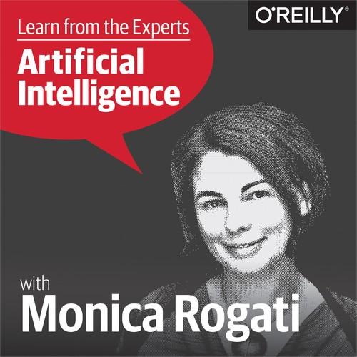 Oreilly - Learn from the Experts about AI: Monica Rogati - 9781492031369