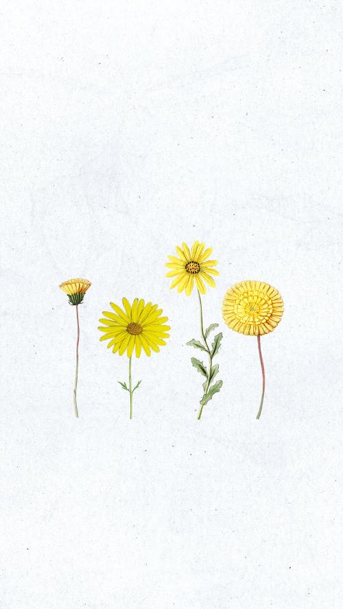 Various hand drawn yellow flower mobile wallpaper - 2094460