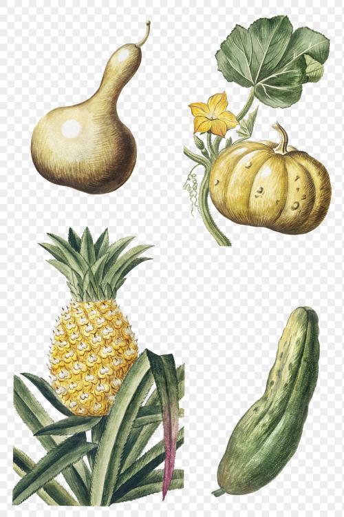 Mixed pumpkin pineapple squash and bitter gourd transparent png - 2110405