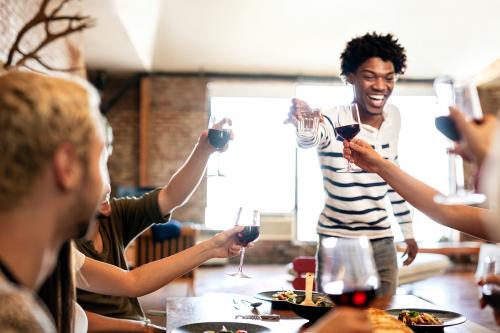 Friends making a toast at a party - 2205519