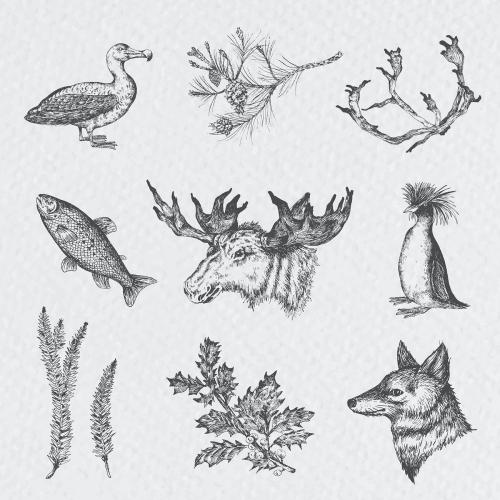 Animal drawing collection social ads template vector - 2023470