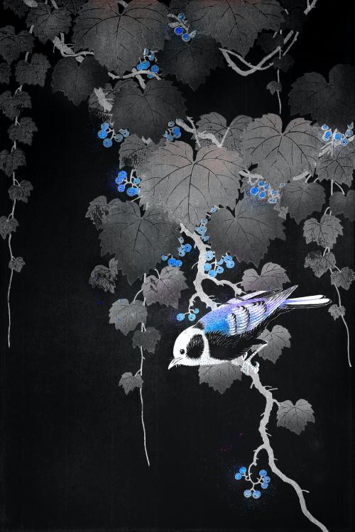 Great tit bird on a paulownia branch vintage illustration, remix from original artwork. - 2268381