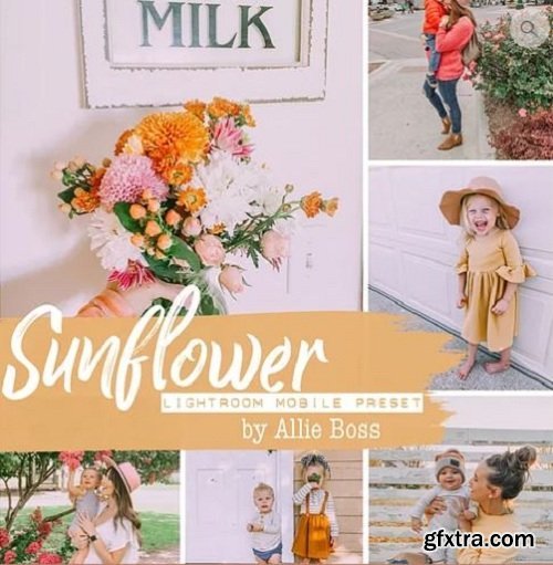 Allie Boss - Sunflower Lightroom & Mobile Presets