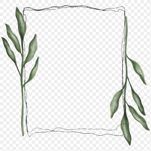 Rectangle floral frame transparent png - 2032931