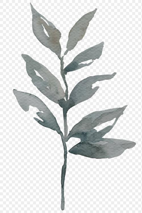 Hand painted watercolor green leaf transparent png - 2037246