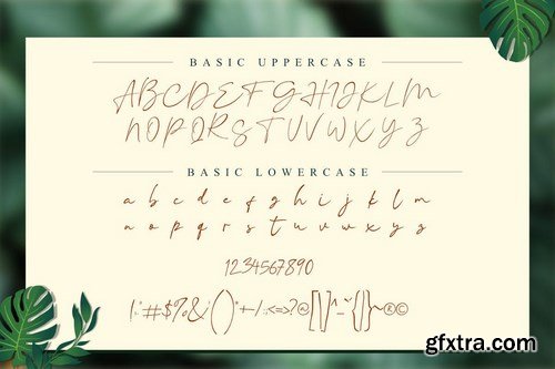 Vallenia Script Font