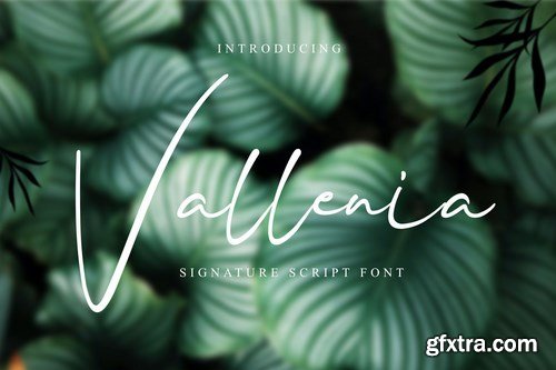 Vallenia Script Font