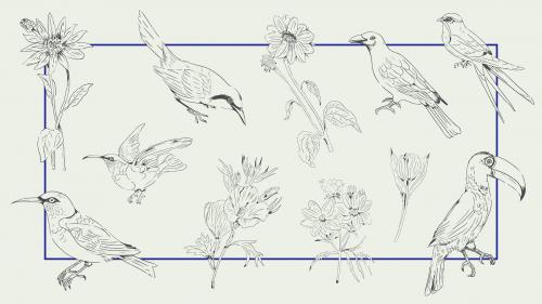 Hand drawn bird and flower collection on a frame background vector - 2042016