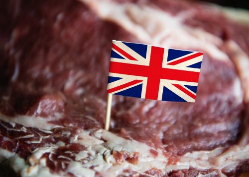 Fresh British beef steak food photography recipe idea - 484863