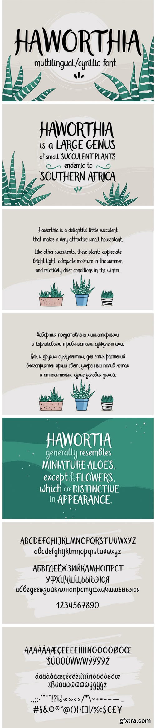 Haworthia Font