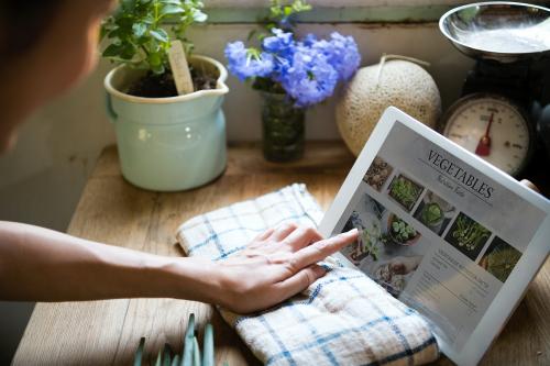 Woman reading vegetable nutritional facts from a screen - 485119