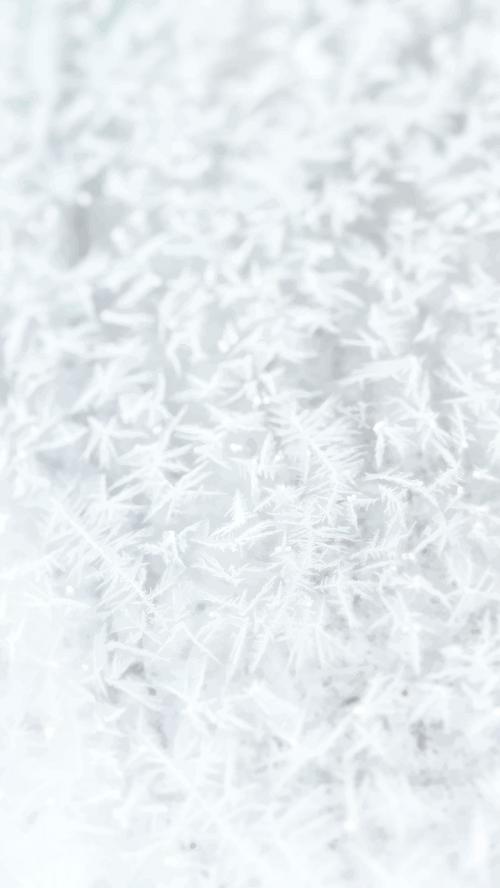 Frosty white tree branches mobile phone wallpaper vector - 1229729