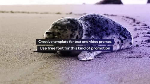 MotionArray - Stomp Typo Promo - 292296