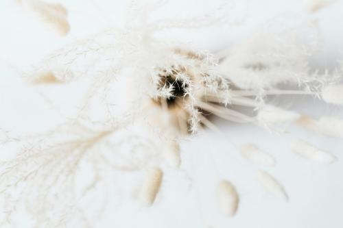 Aerial view of Bunny Tail grass in a vase - 2255476