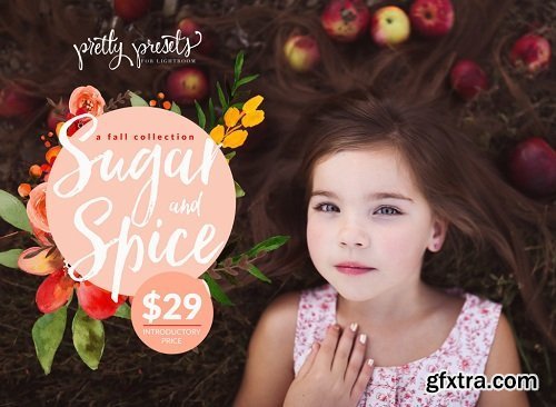 Pretty Presets - The Sugar And Spice Collection Lr Presets