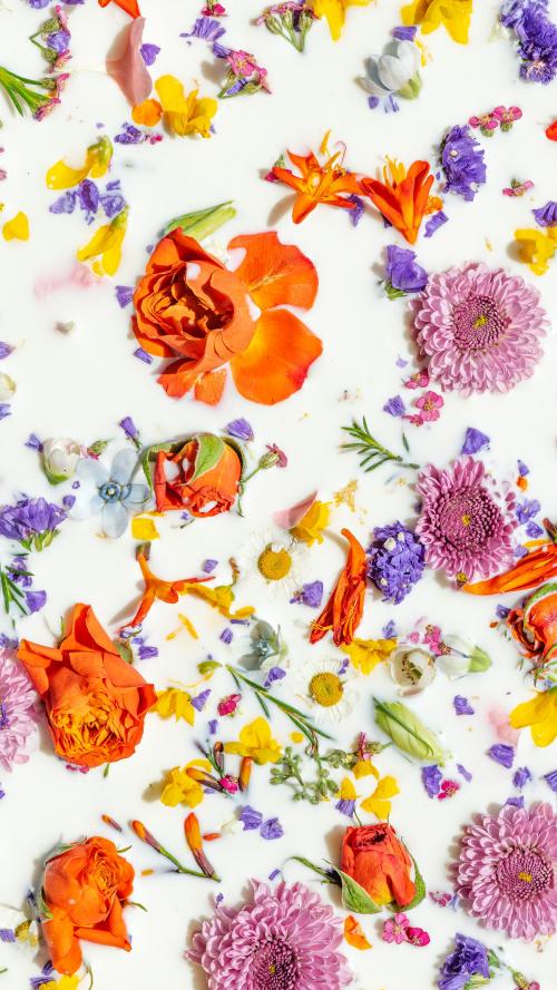 Colorful summer flowers in a milk bath background - 2293685