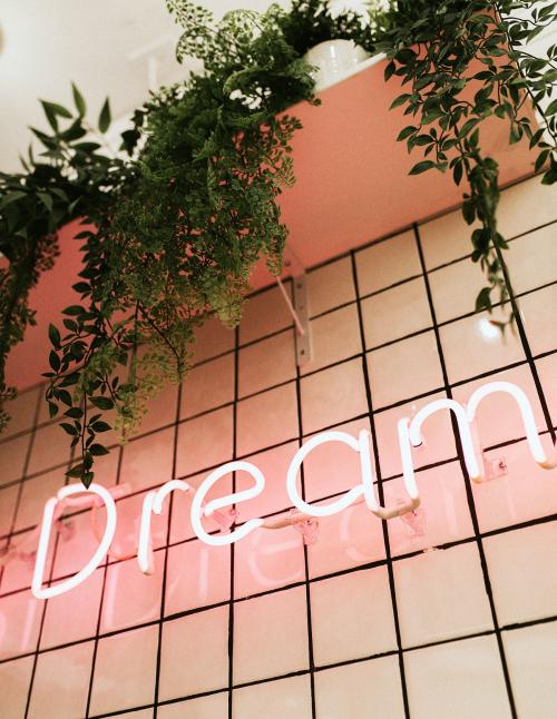 Dream pink neon sign on a wall - 2268774