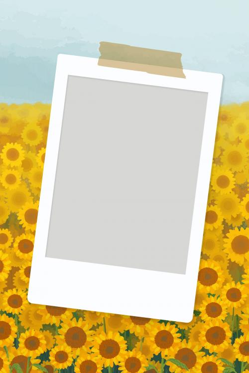 Empty instant picture frame on sunflower field background vector - 2043899