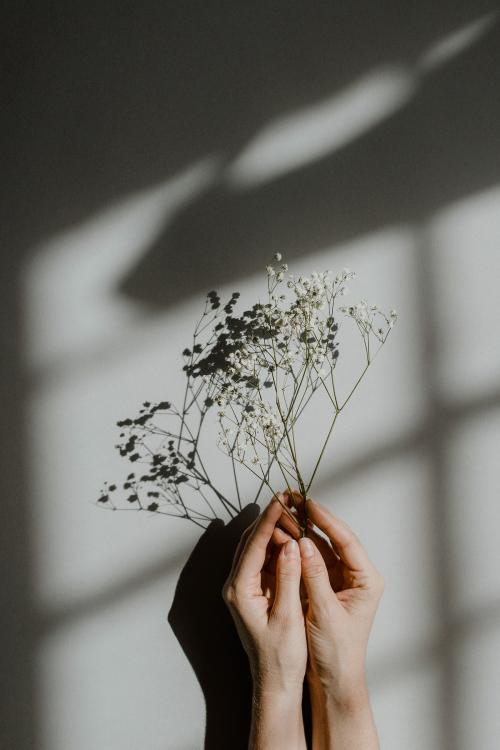 Woman holding white flowers on a gray background - 1226380