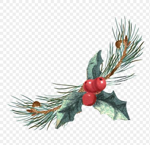 Festive holly leaf transparent png - 1228726