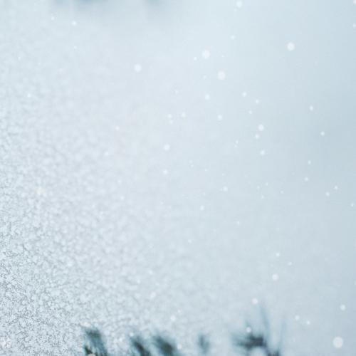 White snowflake textured background - 1229587