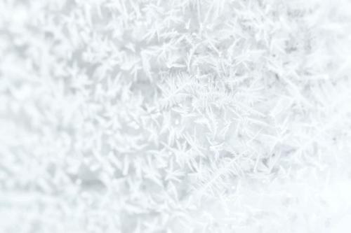 Frosty white tree branches background vector - 1229721