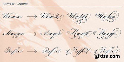 Prestissimo Classy Font Family