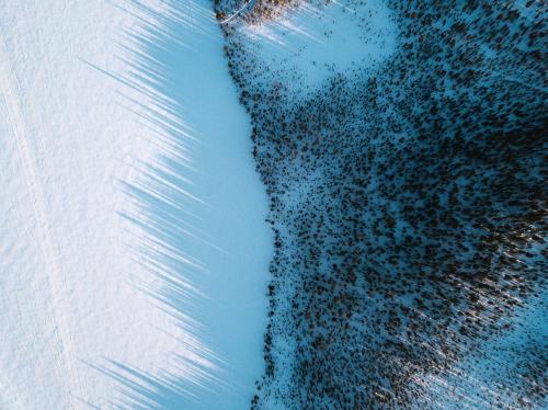 Aerial view of a snowy forest - 846391