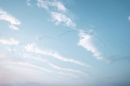 Flock of birds in the sky at Glen Coe, Scotland - 935848