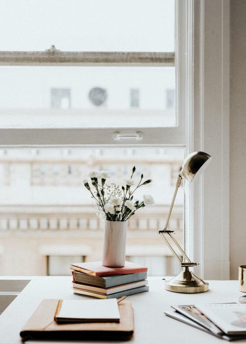 Blooming white carnations in a vase by a window - 1220963