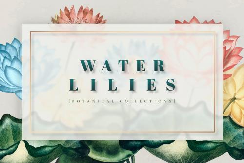 Colorful botanical water lilies frame vector - 1016543