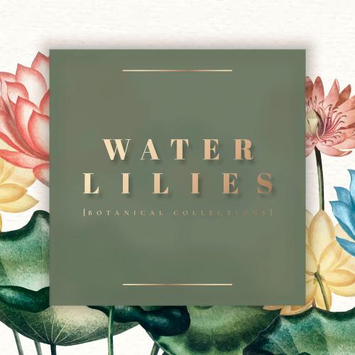 Colorful botanical water lilies frame vector - 1016566
