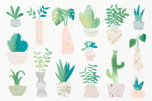 Green botany cactus collection vector - 1017043